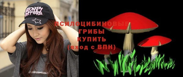 СК Вязьма
