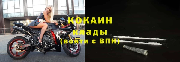 СК Вязьма