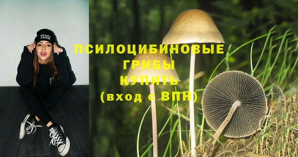 СК Вязьма