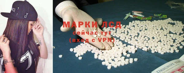 СК Вязьма