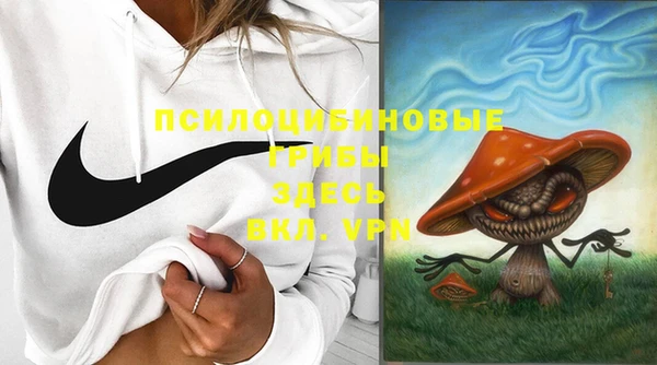 СК Вязьма