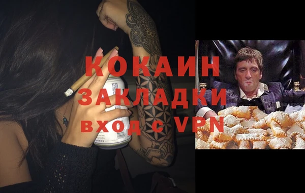 СК Вязьма
