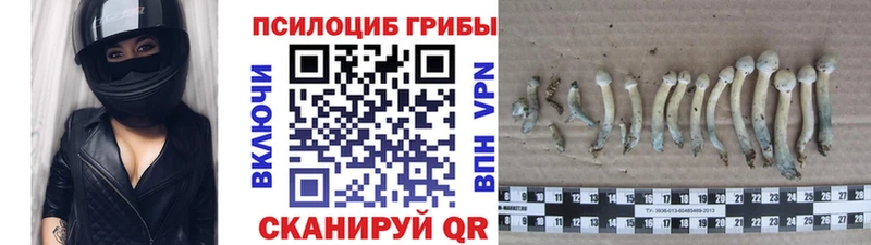 Псилоцибиновые грибы Psilocybine cubensis  дарнет шоп  Миасс 